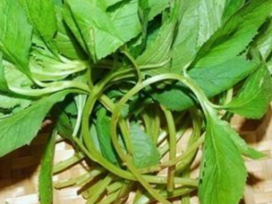 ���Ƹ�Ѫѹ����ҩ������Щ һ����������