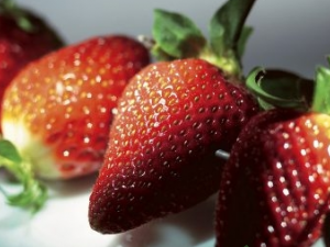 ������ҽ���Ĵ��� ��֪����