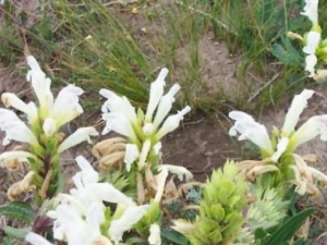 11�ֲ���Ǯ�ķ�����ƫ���� һ�����ղذ�