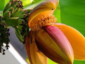 �Ž���_�Ž����Ĺ�Ч����|�÷�����