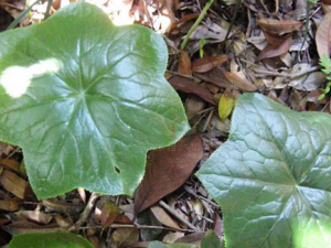 �˽���_�˽����Ĺ�Ч����