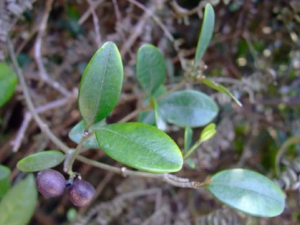 ������_�����ٵ�����|�÷�