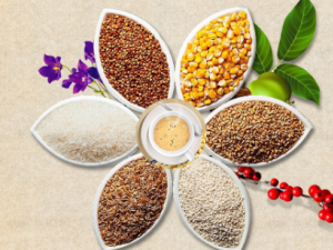 �������ӳԲ��� ����������