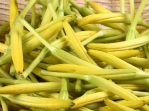 �ƻ��˲��ܲ�֪����ʮ��Ч