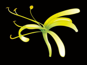 �ļ����ý�������ע������