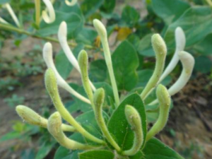 �������ĸ����� �����ȷʹ�ý�����