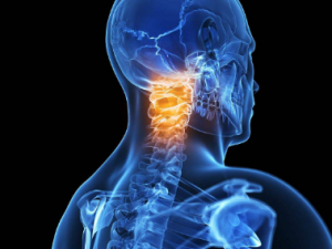 ׵׼Щʳ ⾱׵ĴʳƷ