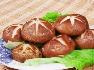 �㹽��ʳ�ý��� ���㹽��ע������