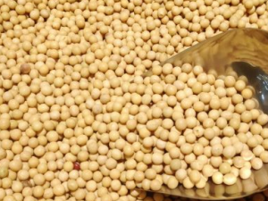 �ƶ�����Щ��Ч �ƶ���ʳ�÷�������Щ