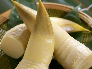 �����Ӫ����ֵ �Դ���ĺô�