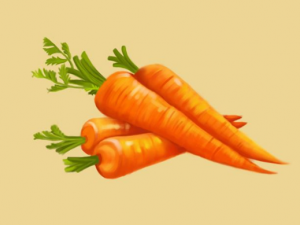 ���ܲ�����ЩӪ����ֵ ���ܿ��Բ����ݻ���