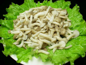 ������������ȫ ������ѡ������