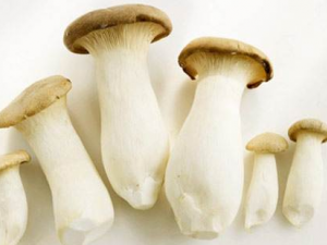 ���㹽�Ĺ�Ч������ ���㹽��Ӫ����ֵ