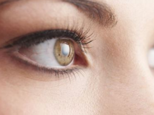 �۾�Ҳ�����յ����� ��֪����