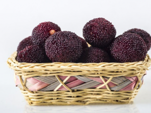 ����÷��ע������ ����÷����