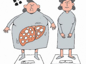 ֬���γ�ʲô�г�ҩ