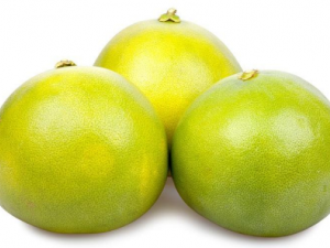 �������������� �������������Ĳ���