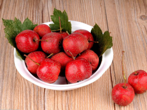 ɽ髵�ʳ�ý��� ʲô�˲��ܳ�ɽ�