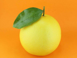 ��������ʲô���� ʲô�˲��ܳ�����