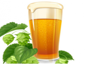 ������ν��еֿ�