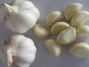 �����������Ժ����ҽ�� ���ƿ��Ե�ƫ������Щ