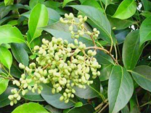 �����ϻ����ҩ ���˸�����ϴϴ