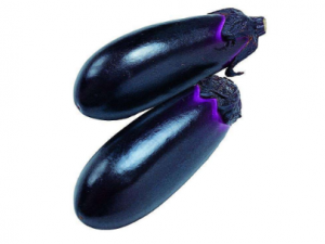 ���ӵ�ʳ�ý��� ���ӵ���ʳע������