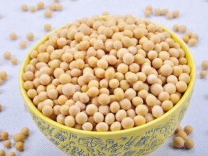 ʳ�ûƶ�����Щ���� �ƶ��Ĺ�Ч������