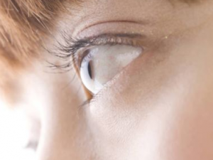 ��Ħ������������ ���������沿��Ħ����