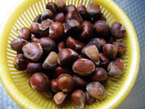 �����������ȥƤ ������ô�����ó�