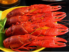 С��Ϻ�Ĺ�Ч������ С��Ϻ��α���