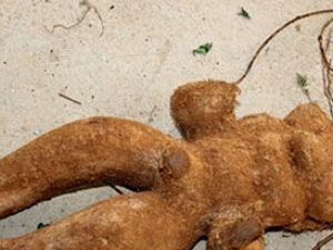 ����ʳ�Ʒ����ѷ� �ѷ������ѿ�������Ŷ