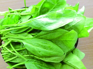 ��Щʳ���н�ѹ���� ��֪����