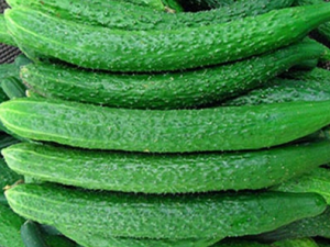 �ƹϳ��������ݻ�����Щ���� һ����������