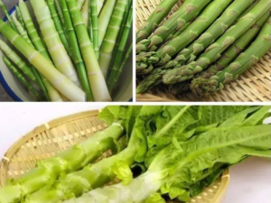 �����ݫ����һ���� ݫ����������Ƭ������