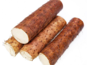 ������ʳ������Щ �Ƽ�һЩ������ʳ��