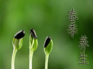 ��������ҩ��������Щ �����������