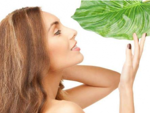 ��������λ��� ��������α��⼡��˥��