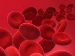 ȱƶѪܳʲô ȱƶѪʳ