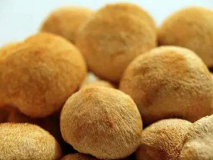 ���ʺ�ͷ���ļҳ����� ���ѡ����ͷ��