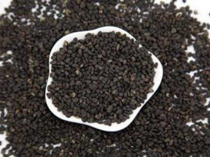 �β���֬�Ĺ�Ч������ Ԥ�����ư���