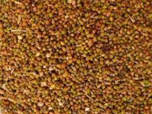 ����˿�ӵĹ�Ч������ �̲�����