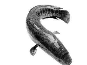 �Ժ���ĺô� �Ժ����ע������