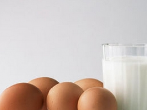 ���ٰ������������ʳ