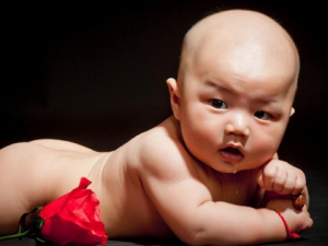 �ļ�������ʳ4��ע�� ��������˶��