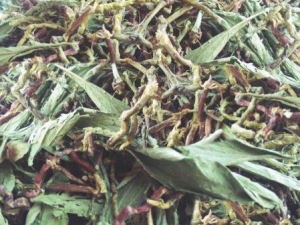 ɽ۲ݵĹЧ ɽ۲ݿԽⶾ