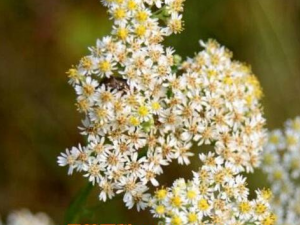 Ů�ҵĹ�Ч������ Ů�ҿ����·λ�̵