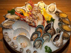 ��Щ�˲������¾Ʋ� �ʺ����¾Ʋ˵���