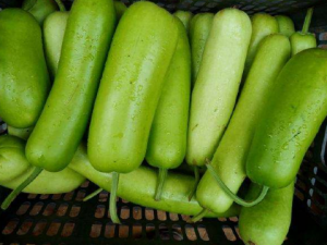 ������ô�� ������ô���ó�