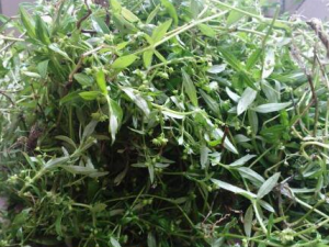 �ٻ�����ݵĹ�Ч �ٻ�����ݿ�����